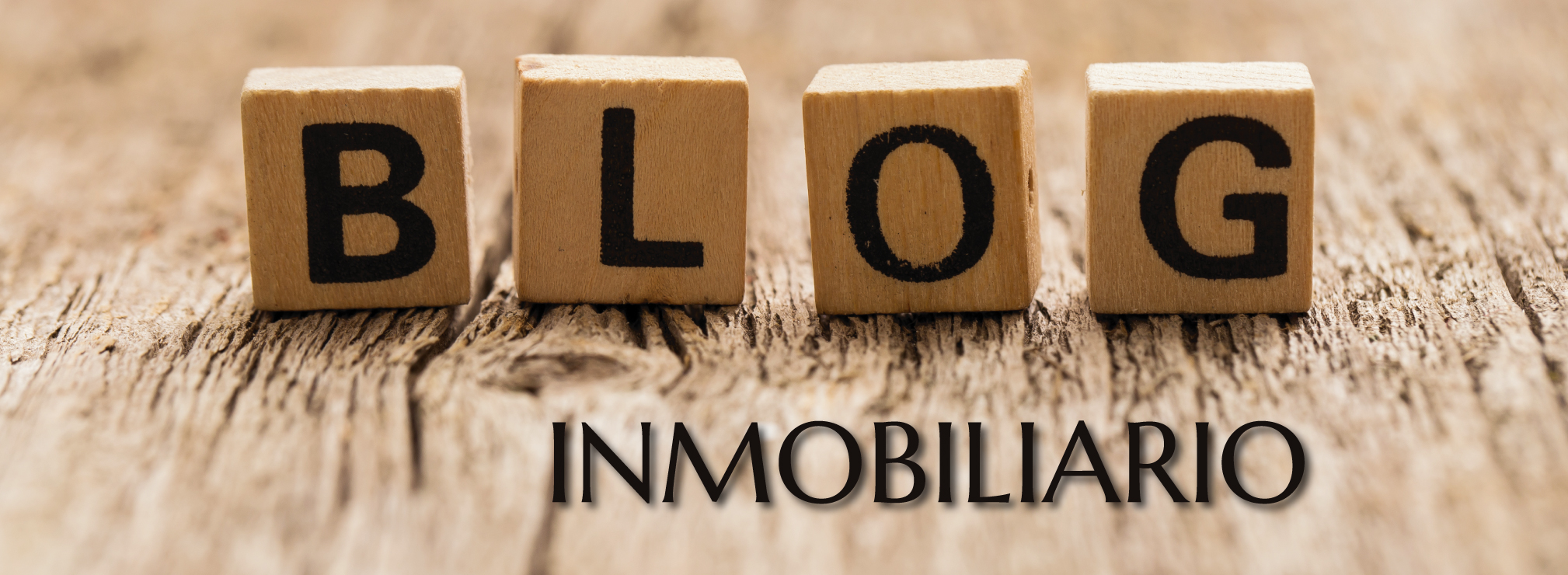 cropped HEADER BLOG
