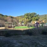 foto16