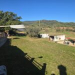 foto19