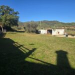 foto30