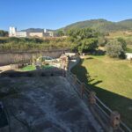 foto8